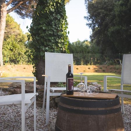 Podere San Filippo B&B-Apartment-Pet Friendly-Rent Bike And Bike Friendly Bibbona Exteriér fotografie