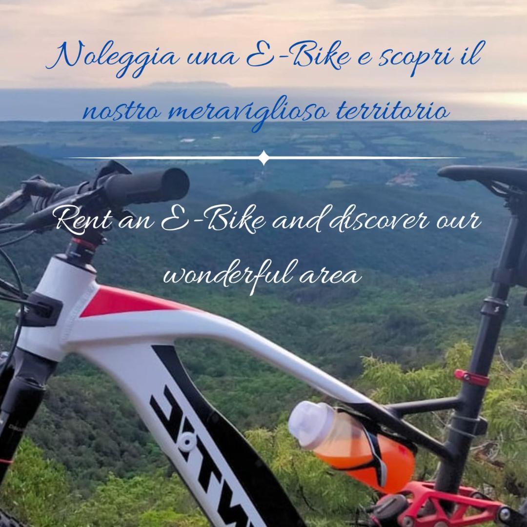 Podere San Filippo B&B-Apartment-Pet Friendly-Rent Bike And Bike Friendly Bibbona Exteriér fotografie