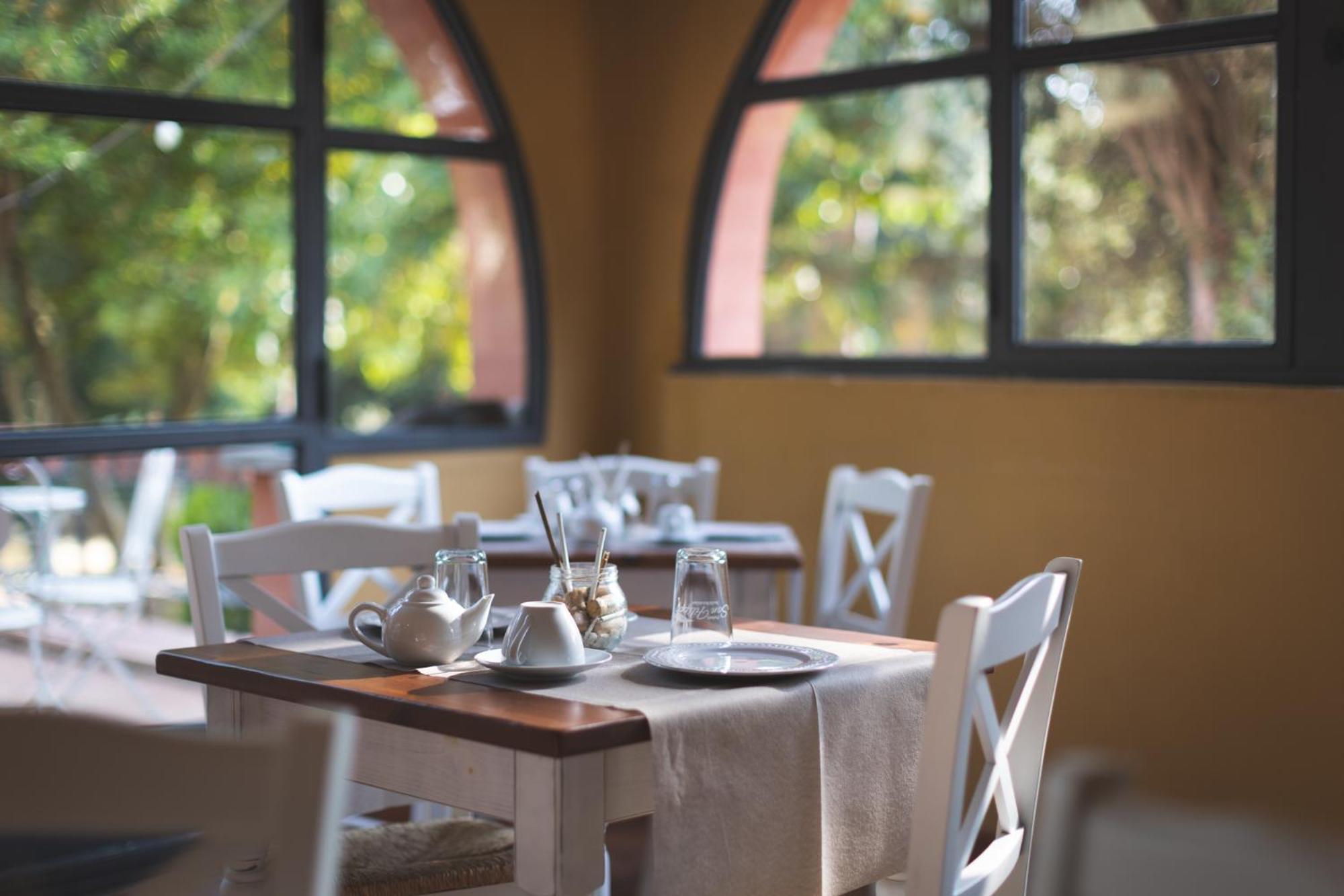 Podere San Filippo B&B-Apartment-Pet Friendly-Rent Bike And Bike Friendly Bibbona Exteriér fotografie